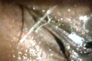 ANOTHER FEATURE "NEW IN TOWN" ... - Image 1