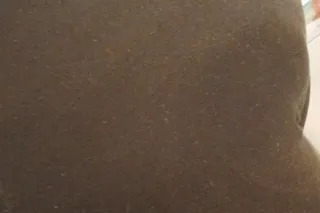 ask about my special / In call... - Image 3