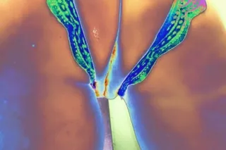 Available right now 🫦🤸🏻♀ - 34 - Image 3